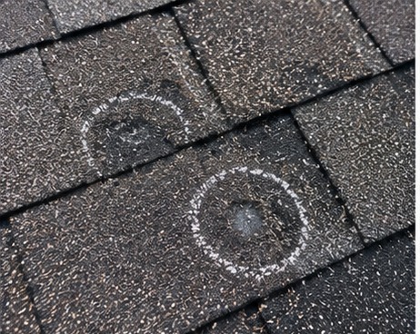 Inspector chalk-circled hail impact marks on shingles